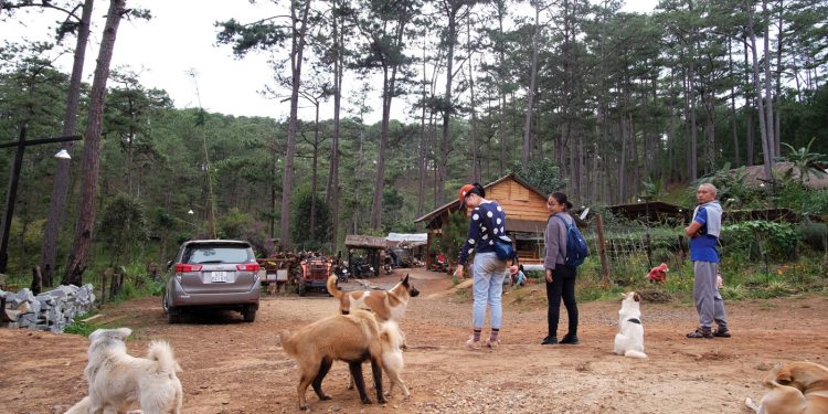 Đưa nhau đi trốn