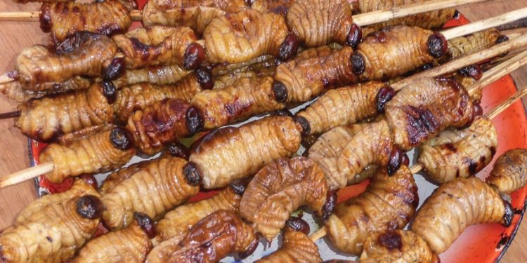 Đuông dừa nướng bếp than