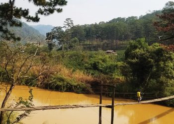 Trekking rừng thông Đa Mân - D’ran
