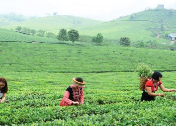 Du ngoạn mùa hè Sơn La - Mai Châu