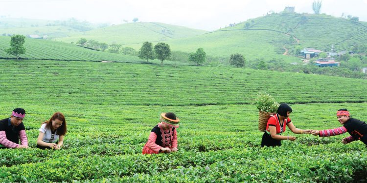 Du ngoạn mùa hè Sơn La - Mai Châu