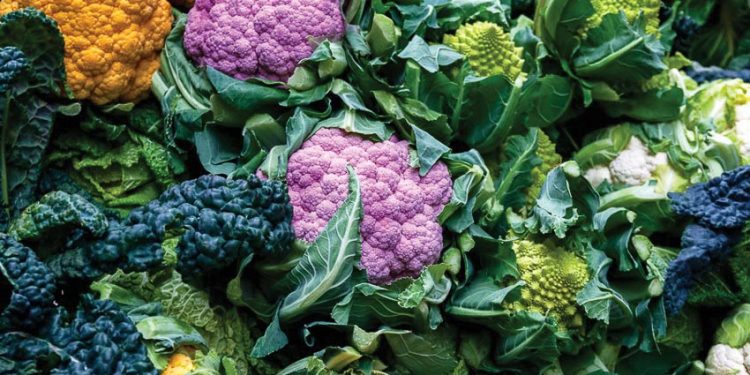 Món ngon từ bông cải - súp lơ 2