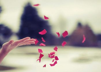 Chế độ tuần tra ban đêm - Trước các điệp khúc