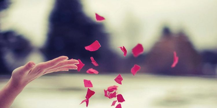 Chế độ tuần tra ban đêm - Trước các điệp khúc