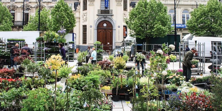 Chợ hoa có nhiều loài lạ mắt với du khách Á Đông 2