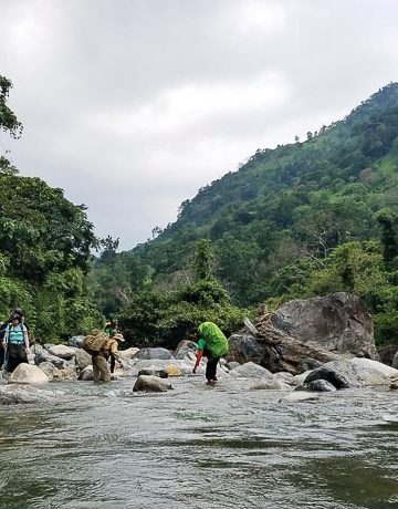 Giấc mơ chapi trên núi đồi Draglai
