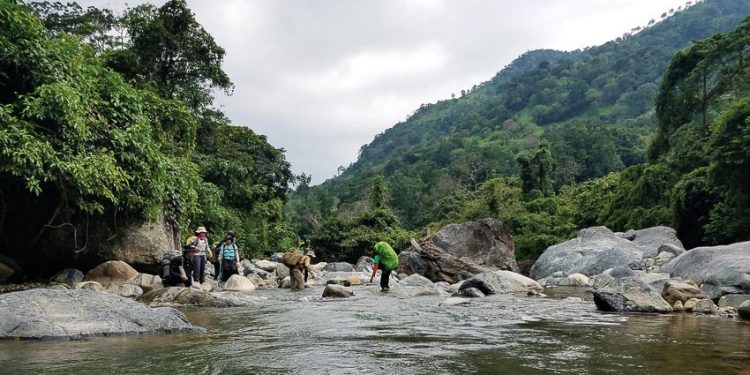 Giấc mơ chapi trên núi đồi Draglai
