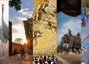 14 tác phẩm xuất sắc nhất đoạt giải "Di sản Việt Nam 2019"