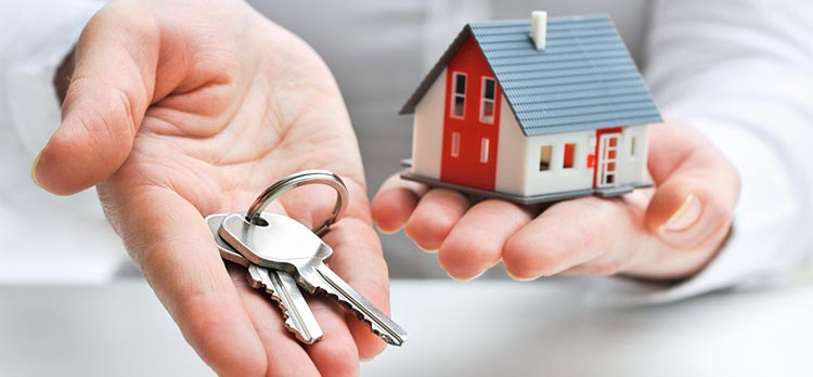 nhà đầu tư bất động sản chuyên nghiệp