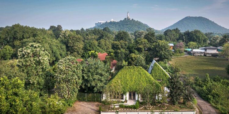 Nhà Bonsai - Thiết kế bền vững tôn vinh thực vật bản địa - 4