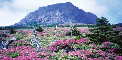 Du lịch Hàn Quốc