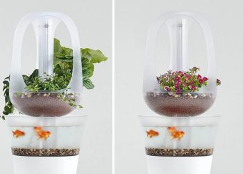 Đồ nội thất Aquaponics trồng rau sạch từ chất thải của cá trong nhà ‘Eva’