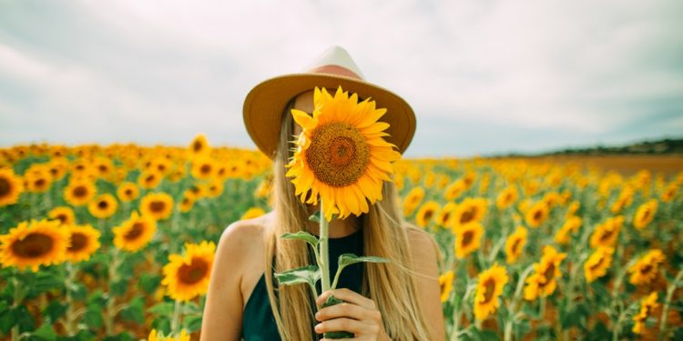 Cảm ơn giáo sư Peter Jones