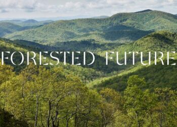 FORESTED FUTURE: Hành trình tìm lại mối liên kết với rừng - 2