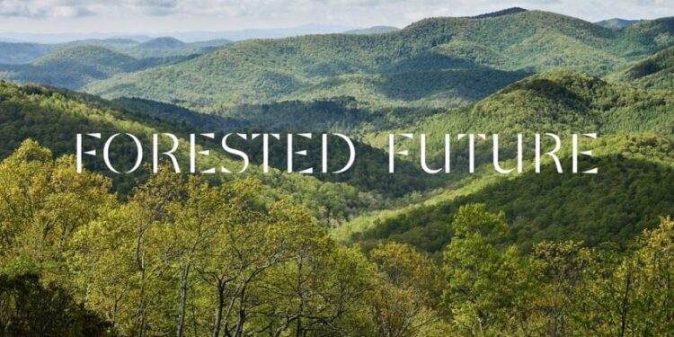 FORESTED FUTURE: Hành trình tìm lại mối liên kết với rừng - 2