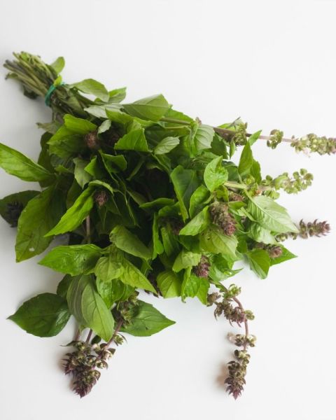 gallery-basil-flowers-meaning-1