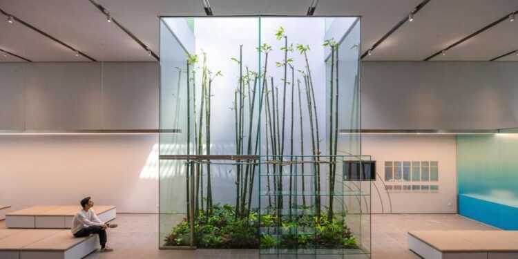 Ánh sáng tự nhiên và cây xanh: Trái tim của thiết kế bền vững - 3