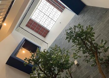 Giếng trời - Một giải pháp kiến trúc cần thiết cho nhà phố Việt Nam - 3