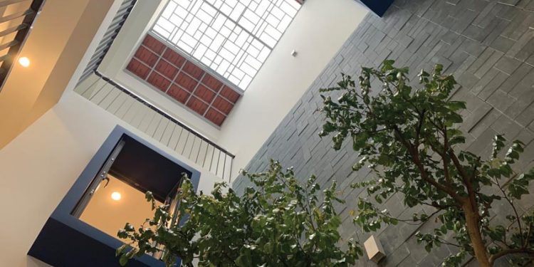 Giếng trời - Một giải pháp kiến trúc cần thiết cho nhà phố Việt Nam - 3