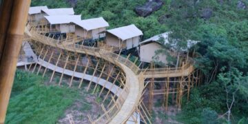 Cụm lodge Auko trên cột cao và cầu tre uốn quanh sườn núi đá vôi Phong Nha