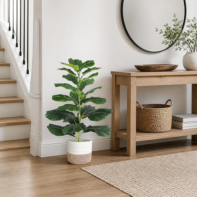 Cây bàng Singapore giả đặt ở góc phòng