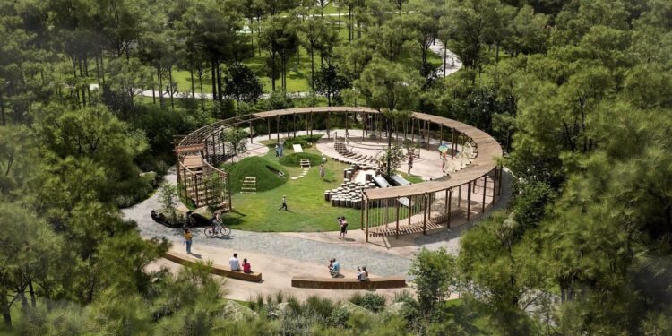 Cụm vòng tròn gỗ đặt lọt giữa các gốc thông hiện hữu