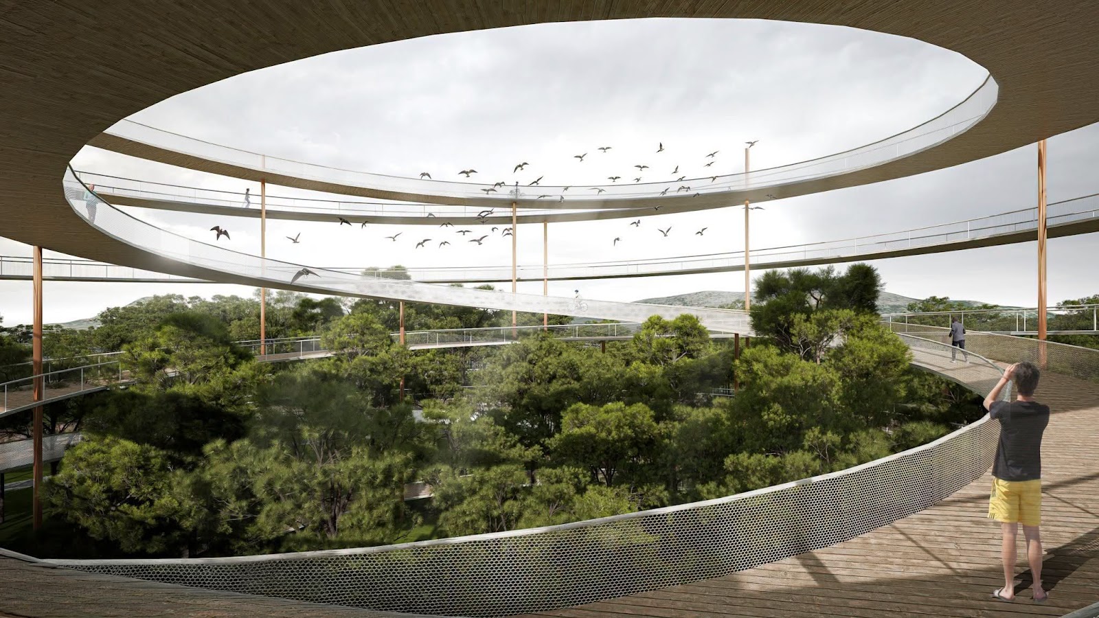 Cấu trúc vòng mỏng của Vortex Skywalk nhìn từ dưới tán cây