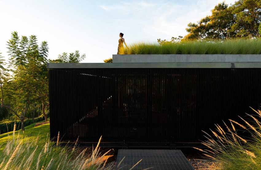 Mái nhà được phủ cỏ xanh và hồ bơi vô cực trong ngôi nhà ở Paraguay - 4
