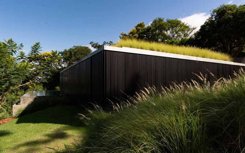 Mái nhà được phủ cỏ xanh và hồ bơi vô cực trong ngôi nhà ở Paraguay - 5