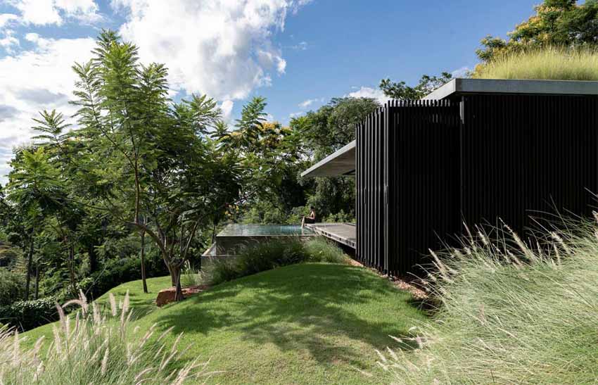 Mái nhà được phủ cỏ xanh và hồ bơi vô cực trong ngôi nhà ở Paraguay - 12