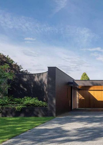 Nhìn quanh đều thấy màu xanh - 2