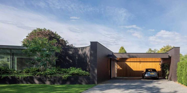 Nhìn quanh đều thấy màu xanh - 2