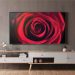 TV AQUOS THE SCENES 8K Trải nghiệm đa chiều và cảm giác thăng hoa tại nhà - 1