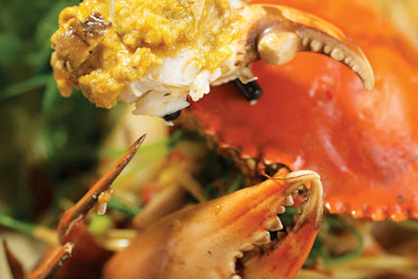 Khám phá phố Hội