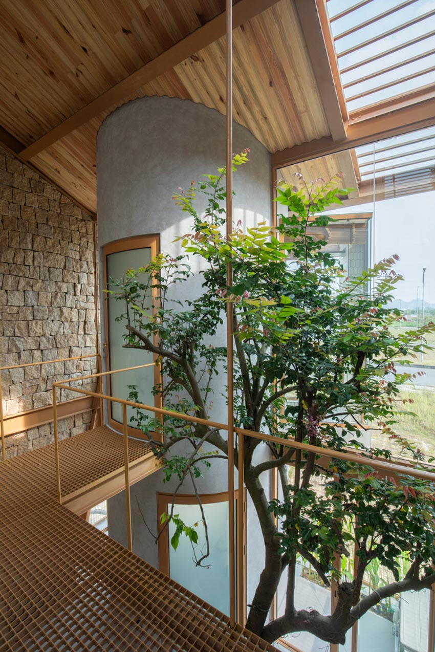 Bài toán bền vững cho ngôi nhà nhiệt đới - 12