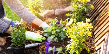 Làm vườn giúp giải tỏa căng thẳng và sống hạnh phúc hơn mỗi ngày