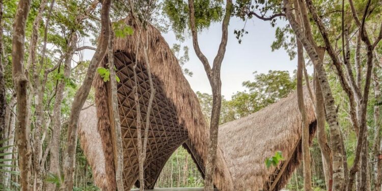 Ngôi đền tre kể chuyện cân bằng và bảo tồn - 3