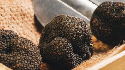 Thưởng thức nấm truffle tại French Grill