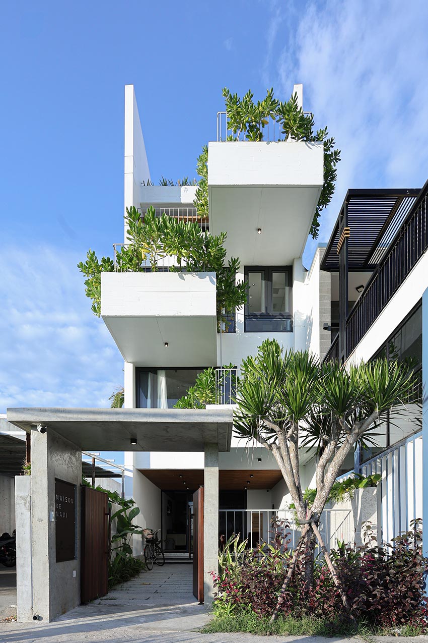 Navi’s House – Bản giao hưởng lặng lẽ giữa lòng Hội An - 1