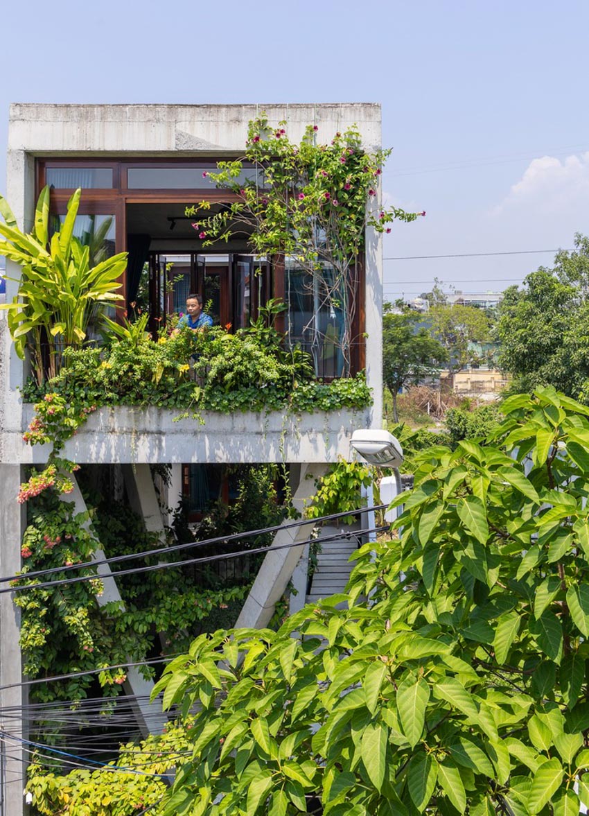 Ký ức phố cổ trong ngôi nhà 'tổ chim' - 1