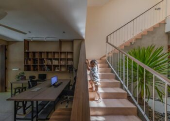 Ngôi nhà QAH và sự tái sinh của cây hoa sứ cổ thụ - 1