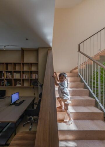 Ngôi nhà QAH và sự tái sinh của cây hoa sứ cổ thụ - 1