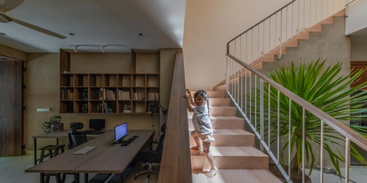 Ngôi nhà QAH và sự tái sinh của cây hoa sứ cổ thụ - 1