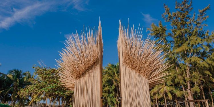 Ngôn ngữ của mây tre - 15