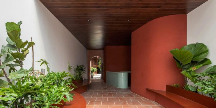 Nhà Cần Thơ - Ký ức miền sông nước - 25