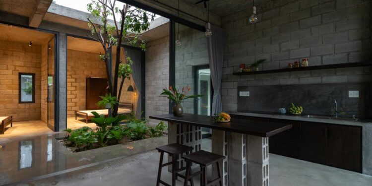 Câu chuyện về ngôi nhà trong lòng thiên nhiên - 2