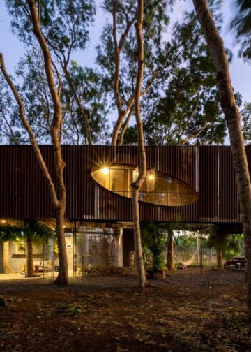 Nhà Trên Cây - Ngôi nhà trong ký ức tuổi thơ - 25