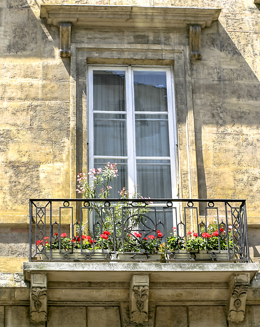 Khung cửa sổ đẹp hút hồn nhờ sắc hoa rực rỡ - Thiết Kế Thi Công ...