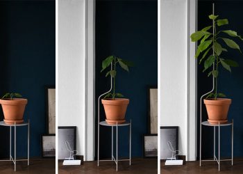 Một thiết kế độc đáo bệ đỡ chậu cây hỗ trợ cho sự phát triển của cây