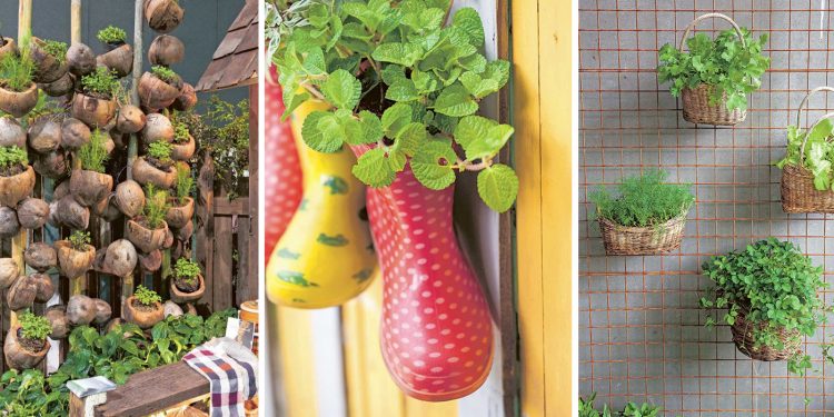 "Vườn gia vị" giải pháp về sức khỏe và kinh tế - 0